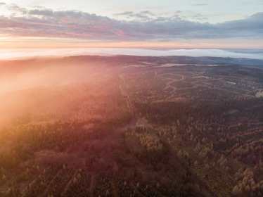 foto 2020-11-14_16-16-10-dji.jpg