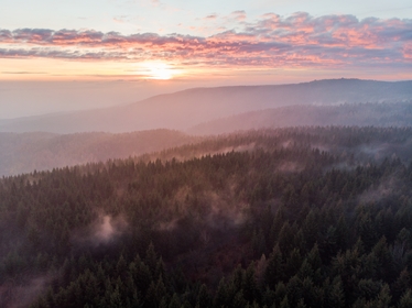 foto 2020-11-14_16-21-12-dji.jpg