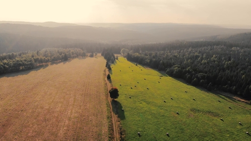 foto 2021-09-11_15-03-39-dji.jpg