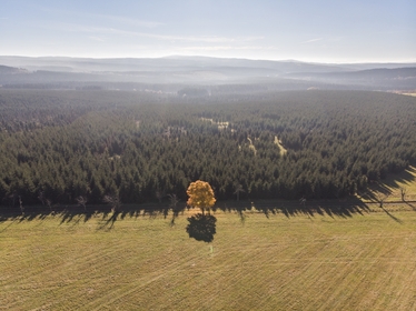 foto 2021-10-28_14-05-02-dji.jpg