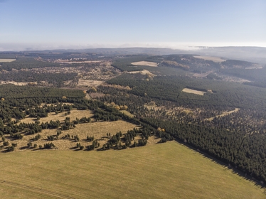 foto 2021-10-28_14-09-35-dji.jpg